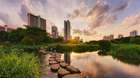 Bishan Ang Mo Kio Park Serene Oasis In The Heartlands