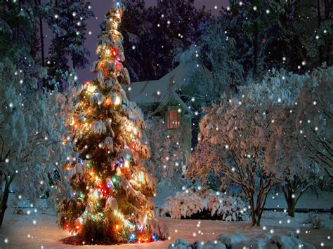 Tons of awesome free christmas screensavers backgrounds to download for free. Christmas Serenity Screensaver for Windows - Free ...