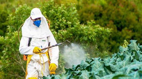 Fda Pesticide Report Reveals Low Levels Of Pesticide Residue In Food