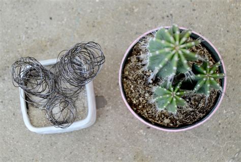Mr Kate Diy Wire Cactus