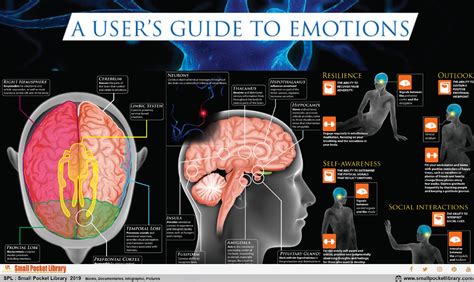 infographic the brain a user s guide to emotions