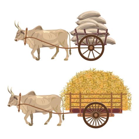 Bullock Cart Illustrations Royalty Free Vector Graphics And Clip Art