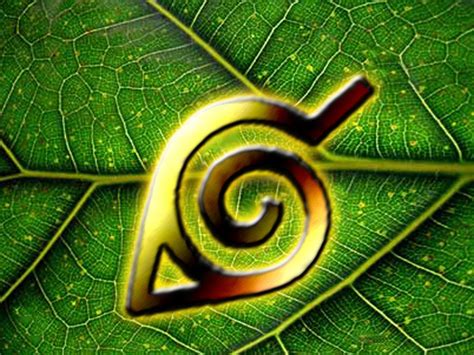 Naruto Hidden Leaf Village Logo