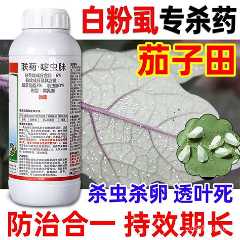 【insecticidepesticide Eggplant Whitefly Special Purpose Chemicals