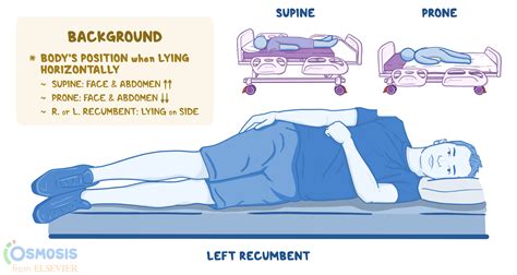 Recumbent Position What Is It Variations And More Supine Position