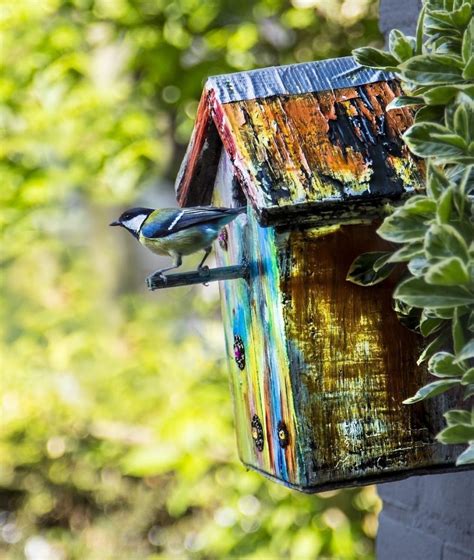 Comment Attirer Les Oiseaux Dans Son Jardin Estragonbe