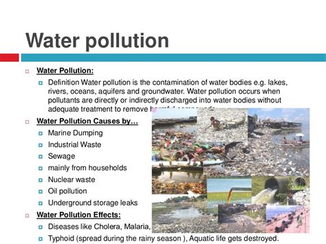 Environment And Environmental Pollution Causes Effects