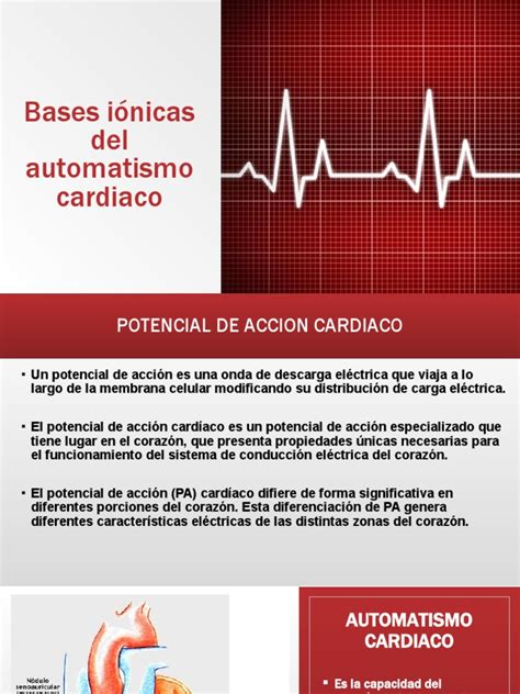 Bases Iónicas Del Automatismo Cardiaco Pdf