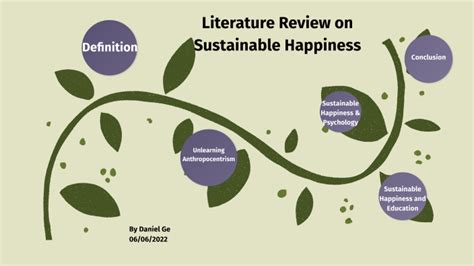Literature Review On Sustainable Happiness By Daniel Ge