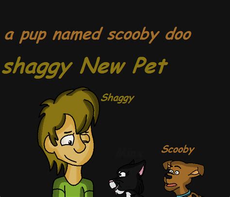 Shaggy Scooby Doo Quotes Quotesgram