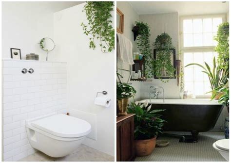 Los baños modernos deben brindar confort y funcionalidad, fusionando también una bonita estética. Decorar con plantas es genial - treinta y ocho ideas