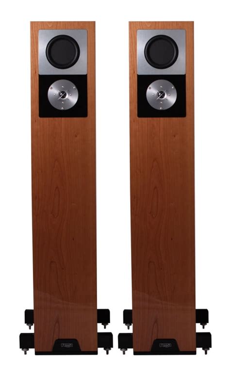 Rega Rs10 Floorstander Speakers Ultra Sound And Vision