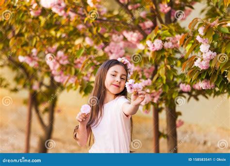 Spring Portrait Adorable Little Girl Walk In Blossom Sakura Tree