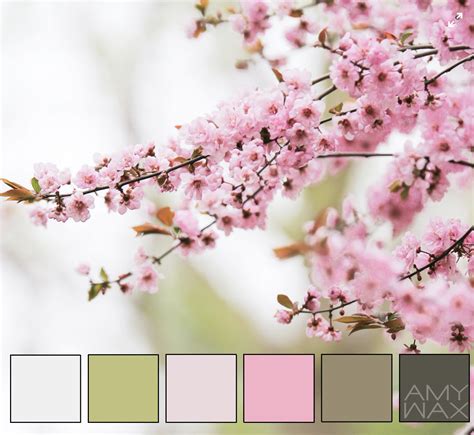 nature s color palettes looking to our planet for color inspiration
