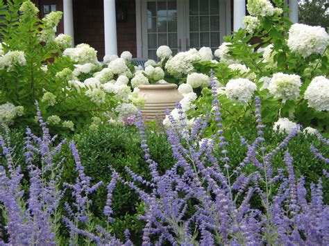 Hydrangea Gardening And Landscaping Ideas And Tips