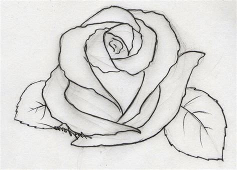 Pin By Martine Lub On Leren Tekenen Pencil Drawings Easy Roses