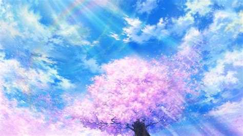 Download Wallpaper 1920x1080 Sakura Rainbow Art Bloom Sky Clouds Full Hd Hdtv Fhd 1080p