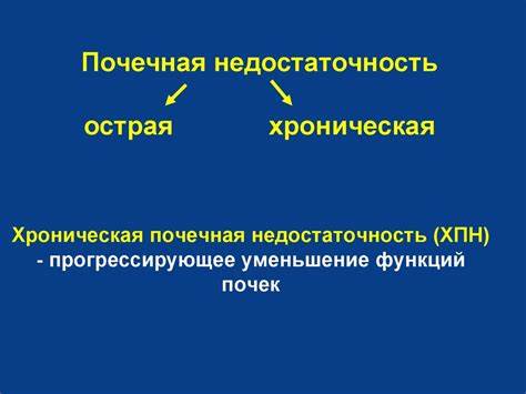Почечная недостаточность и ее диета Острая и хроническая почечная недостаточность - презентация онлайн Острая и хроническая почечная недостаточность - презентация онлайн Почечная недостаточность и ее диета