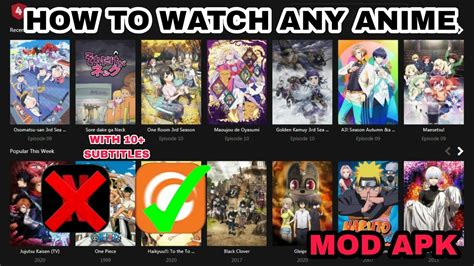How To Watch Any Anime Free Watch Now Any Anime Free English