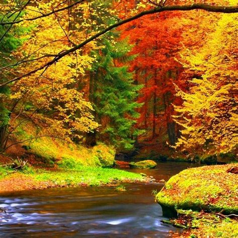 Colors Of Fall Paysage Automne Paysage Automnal Photographie De