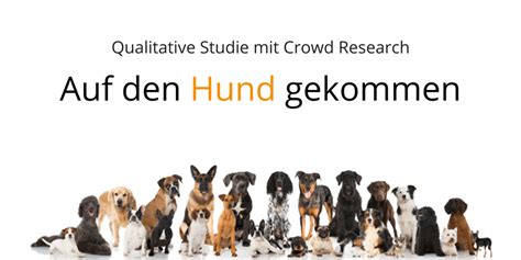 Weitere ideen zu sprüche tiere, hund zitat, hundesprüche. Studie zur Mensch-Hund-Beziehung in Österreich | comrecon.com