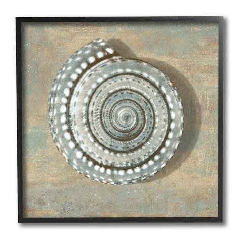 Stupell Nautical Spiral Shell Vintage Coastal Muted Neutral Framed Wall