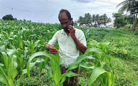 Lifelong Learning Makes A Difference For Tamil Nadu Farmer