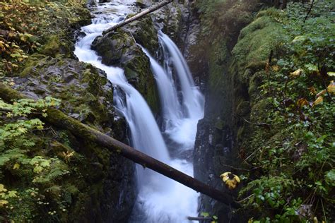 Olympic National Park Waterfall Guided Tour Olympic Hiking Co
