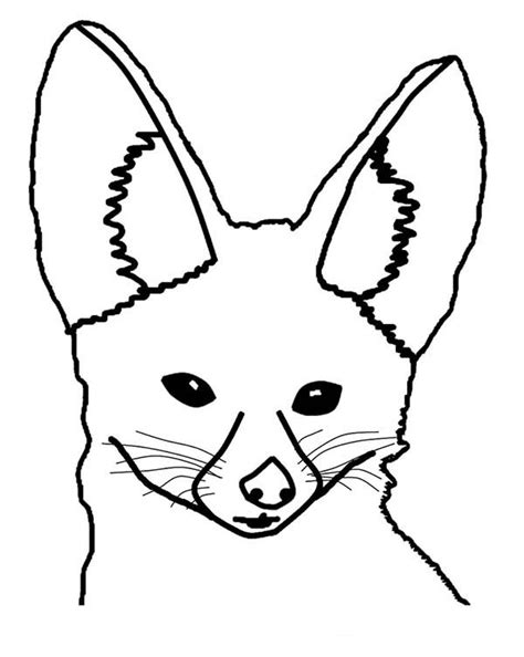 Drawing Desert Fox Head Coloring Pages