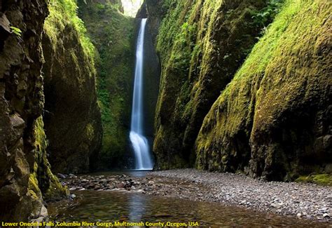 Lower Oneonta Falls Oregon Usa Cruze Oneonta Gorge Waterfall