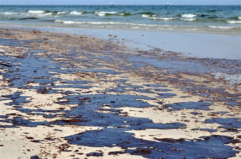 Effects Of Oil Spills On Marine Human Life American Oceans