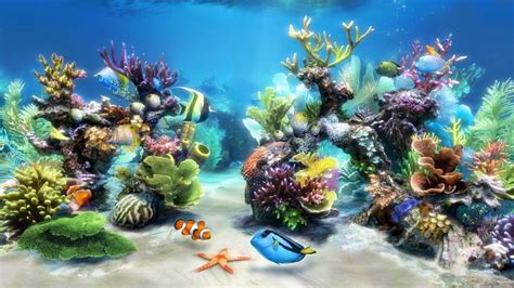 Lovely Free 3d Aquarium Screensaver For Windows 10 Aquarium