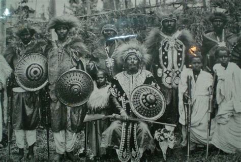 Ethiopian Noble Warriors Lion Mane Brocaded Cape And Crown With Gilded