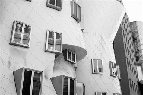 Gehry In Black And White Blog—jarrett Fuller