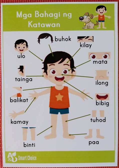 Parts Of The Body Educational Chart Mga Bahagi Ng Katawan Shopee