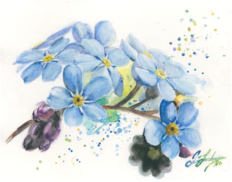 Forget Me Nots Watercolor Print Blue Flowers Painting Flowers Etsy