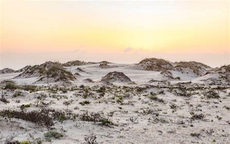 Explore Nature In The Great Plains The Nature Conservancy