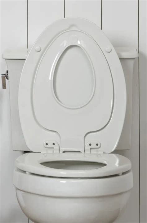 Principal Imagen Toilet Seat Brands In Thptnganamst Edu Vn