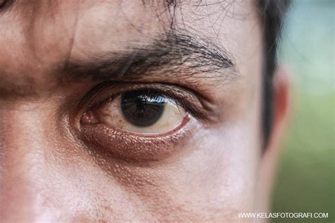 Check spelling or type a new query. Macam dan Jenis Angle, Shot dan Gerakan Kamera (Camera ...