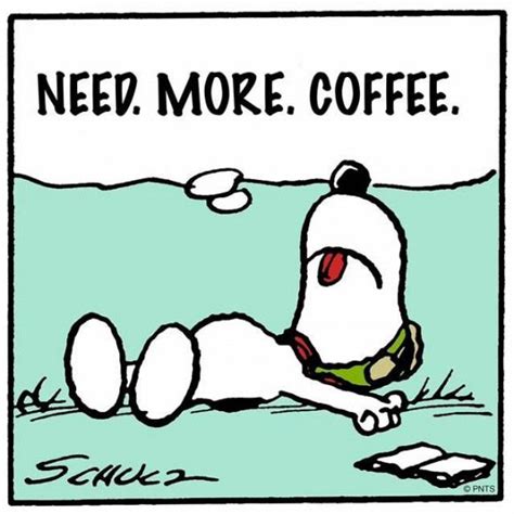Need More Coffee Humor Coffee Humor Snoopy Love Snoopy Funny