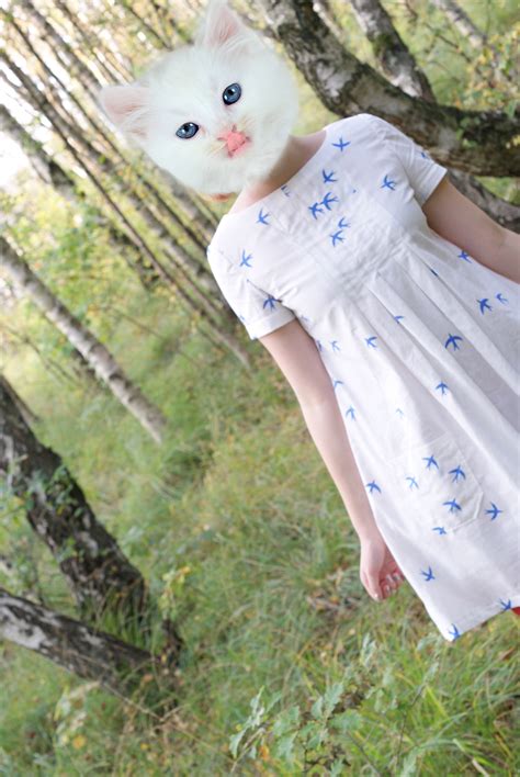 A Dress With Birds On It Sewing Projects