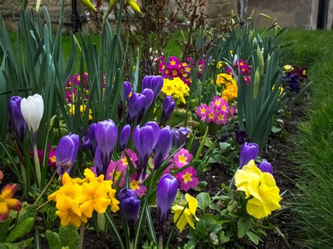 5 Tips For A Better Spring Flower Garden