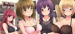 Japanese Mangagamer Negligee Adult Deluxe Dlc Version