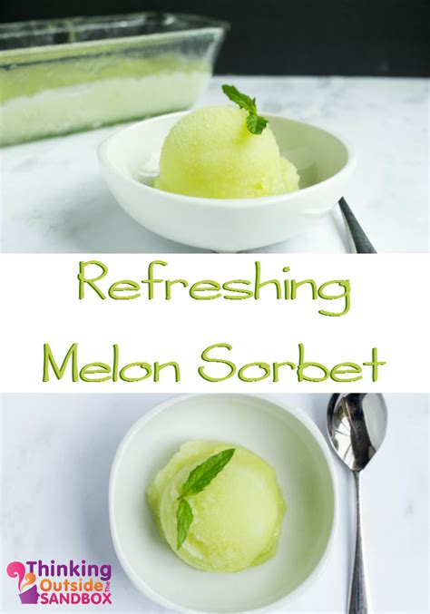 Refreshing Melon Sorbet Dessert Recipe Frozen Meals Frozen Desserts