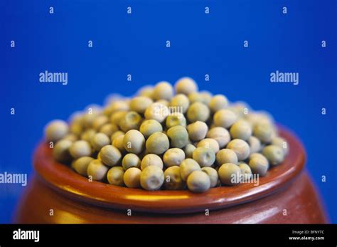 Dried Green Peas Pisum Sativum India Asia Stock Photo Alamy