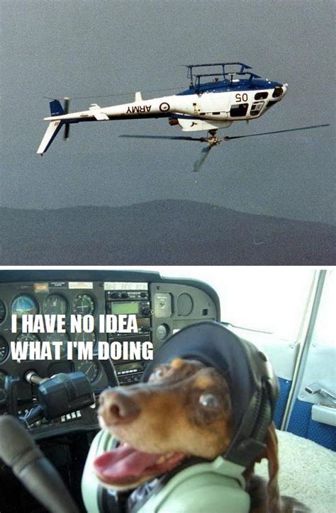 Flying A Helicopter Funny Pictures Quotes Pics Photos Images