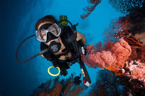Outer Reef Certified Diving Day Trip From Cairns Divers Den