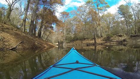 Kayaking Big Cypress Bayou Youtube