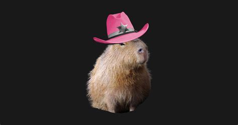 Capybara Wearing Pink Cowboy Hat Capybara Wearing Pink Cowboy Hat T