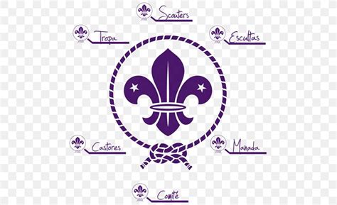 World Organization Of The Scout Movement World Scout Emblem Scouting